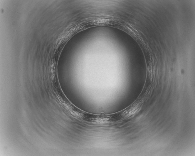 X0000054450462200508191641