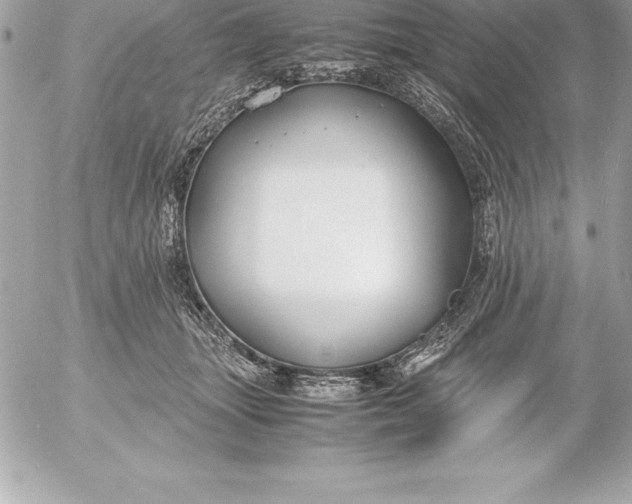 X0000054450463200508191641