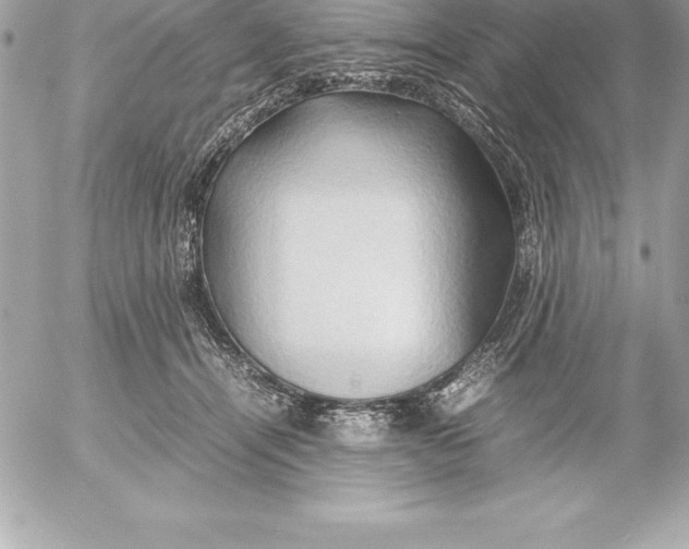 X0000054450464200508191641
