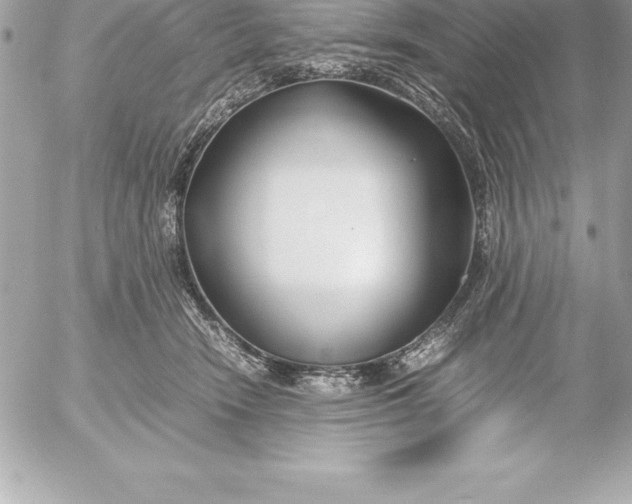 X0000054450466200508191641
