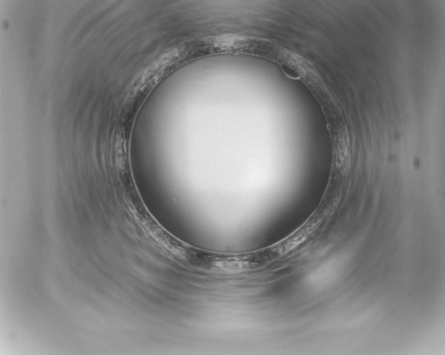 X0000054450470200508191641