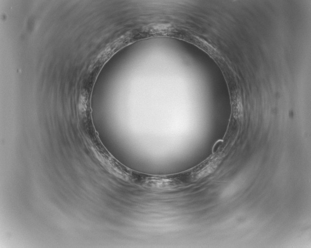 X0000054450472200508191641