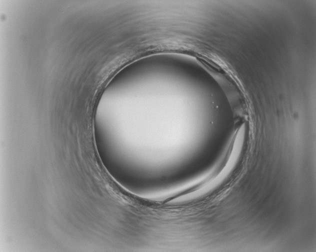 X0000054450481200508191641