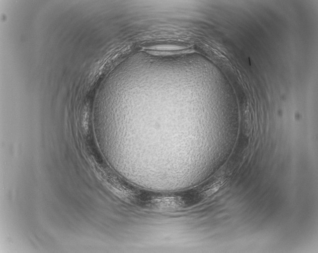 X0000054450499200508191640