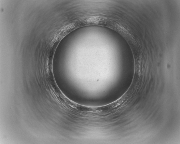 X0000054450504200508191640