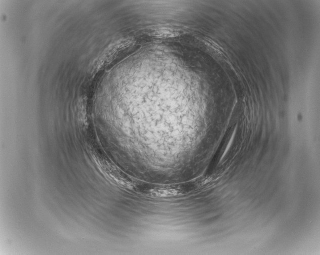 X0000054450512200508191640