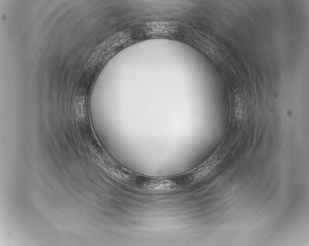 X0000054450514200508191640