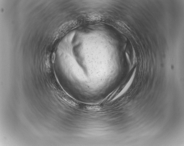 X0000054450516200508191640