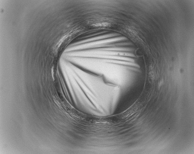 X0000054450547200508191639