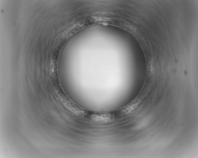 X0000054450567200508191640