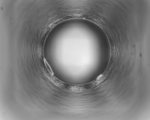X0000054450568200508191640