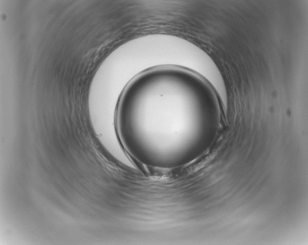 X0000054450570200508191640