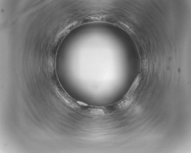 X0000054450572200508191640