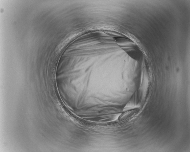 X0000054450577200508191639