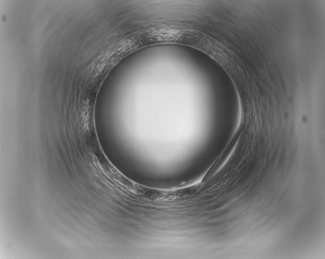 X0000054450604200508191638