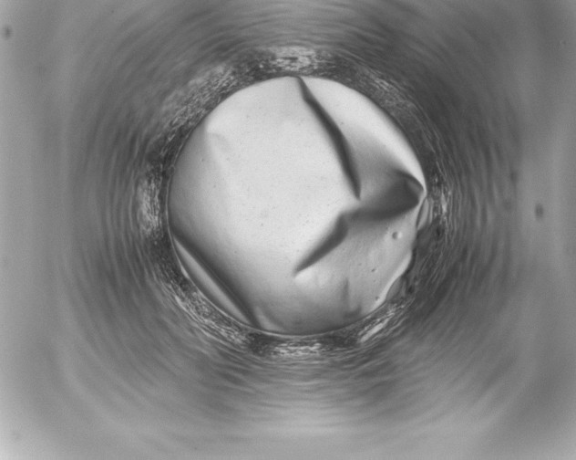 X0000054450606200508191638
