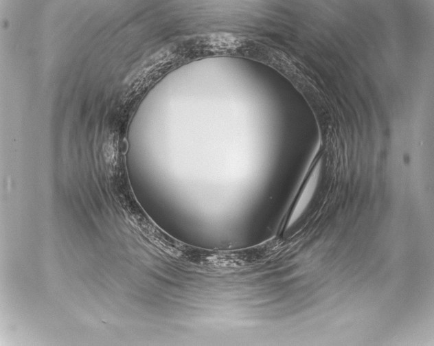 X0000054450608200508191638