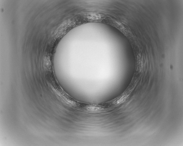 X0000054450614200508191638