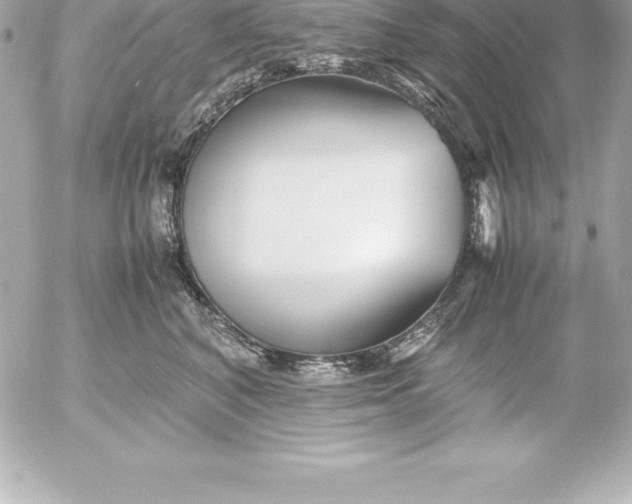 X0000054450616200508191638