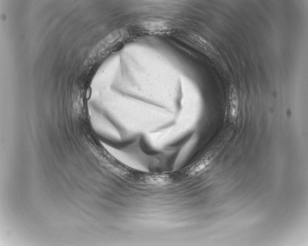 X0000054450618200508191638
