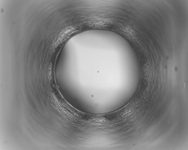 X0000054450642200508191638