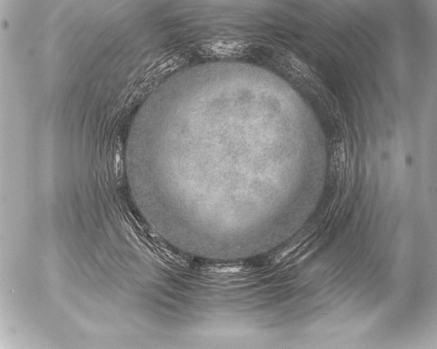 X0000054450651200508191638