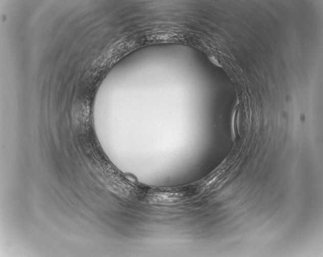 X0000054450657200508191638