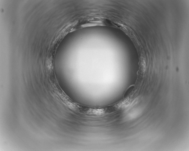 X0000054450665200508191638