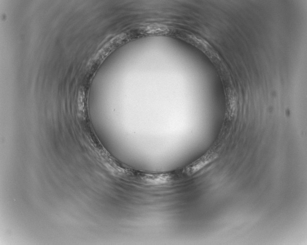 X0000054450667200508191638