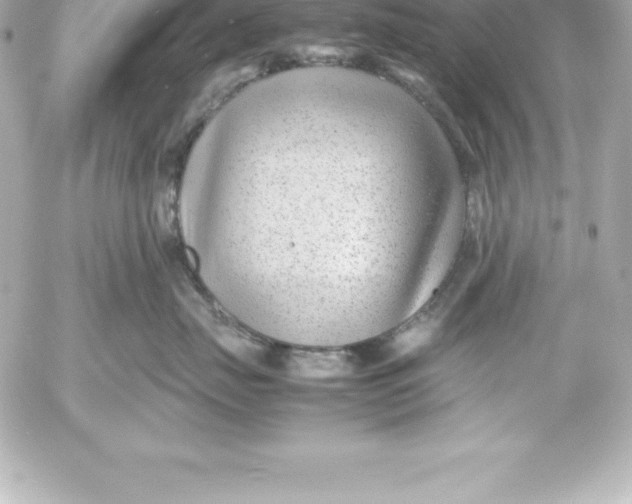 X0000054450671200508191638