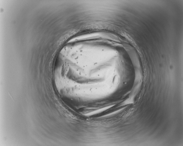 X0000054450673200508191637