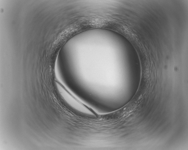 X0000054450689200508191637