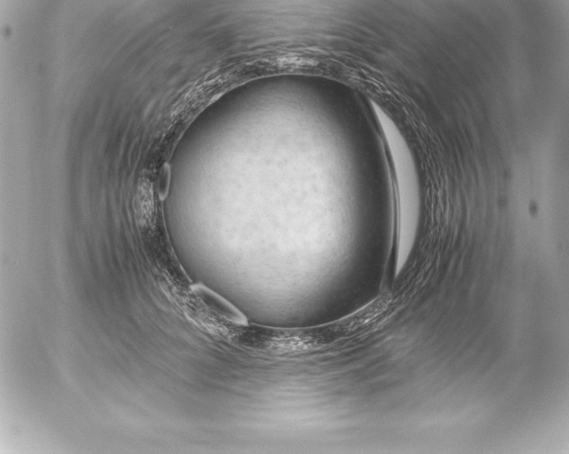 X0000054450704200508191637
