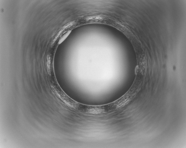 X0000054450708200508191637