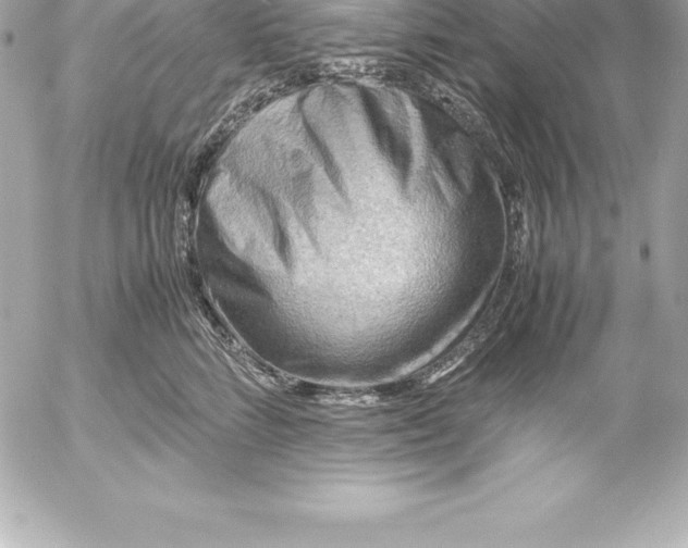 X0000054450712200508191637