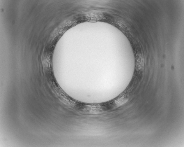 X0000054450713200508191637