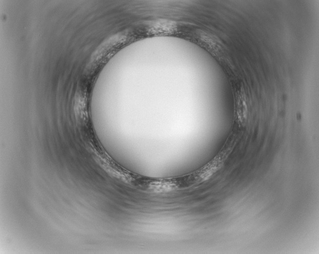 X0000054450714200508191637