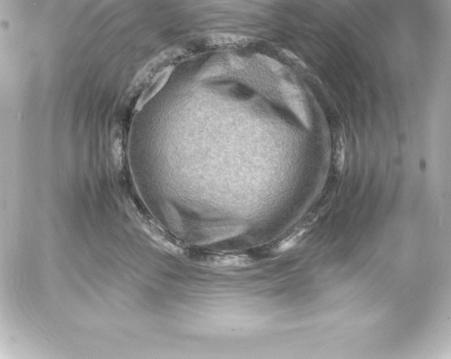 X0000054450716200508191637