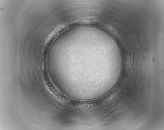 X0000054450734200508191636