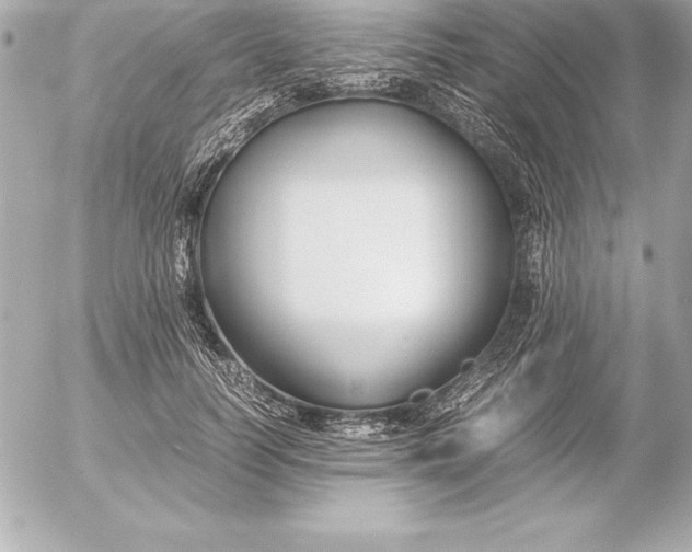 X0000054450746200508191636