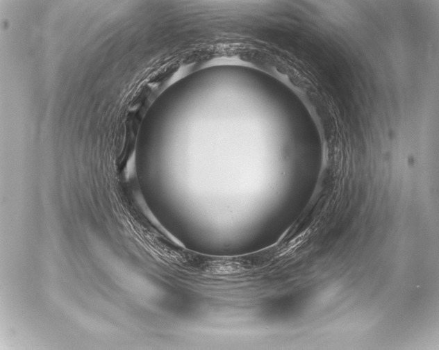 X0000054450750200508191636