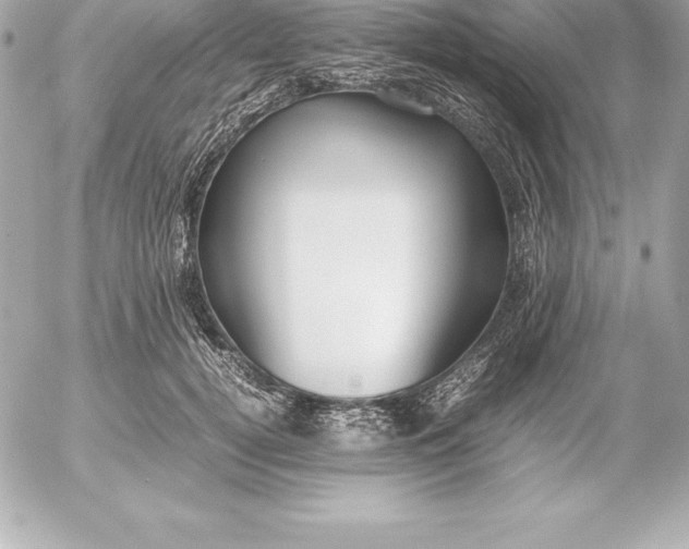 X0000054450752200508191636