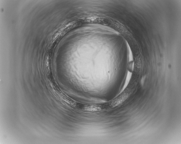 X0000054450754200508191636