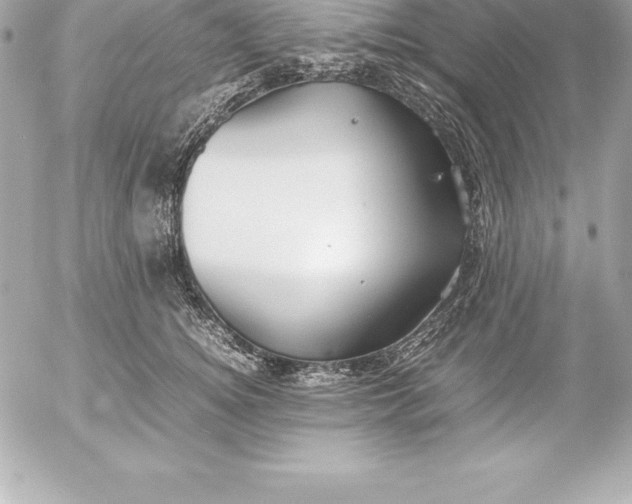 X0000054450756200508191636