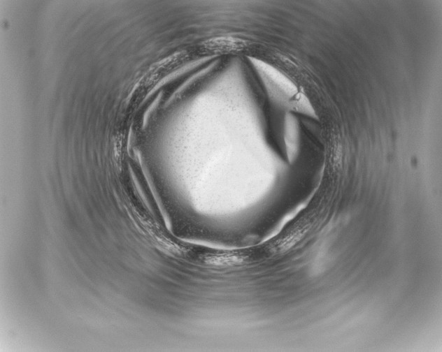 X0000054450759200508191636