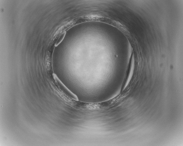 X0000054450762200508191636