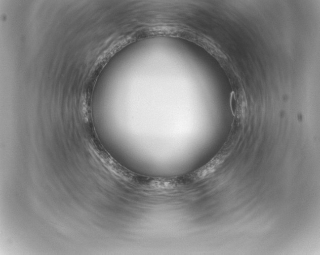 X0000054450764200508191636
