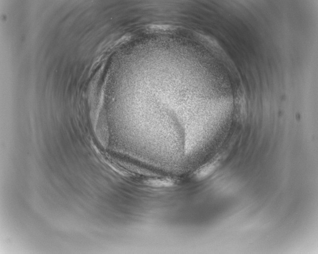 X0000054450765200508191636