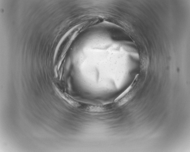 X0000054450766200508191636