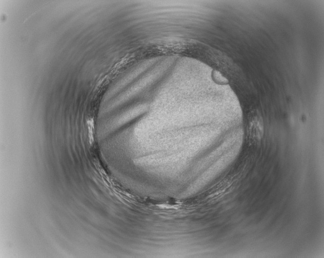 X0000054450772200508191636